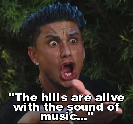 LittleLisaMarie's tweet image. Lmao #DjPauly &amp; The Sound of Music?