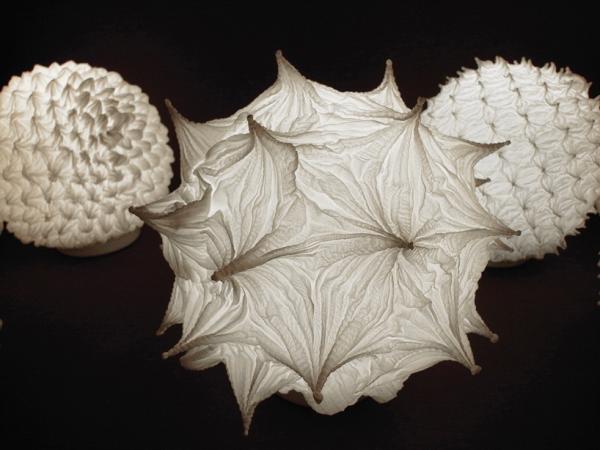 designboom tweet picture