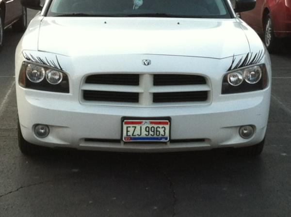 cwaverette's tweet image. Fast and beautiful!