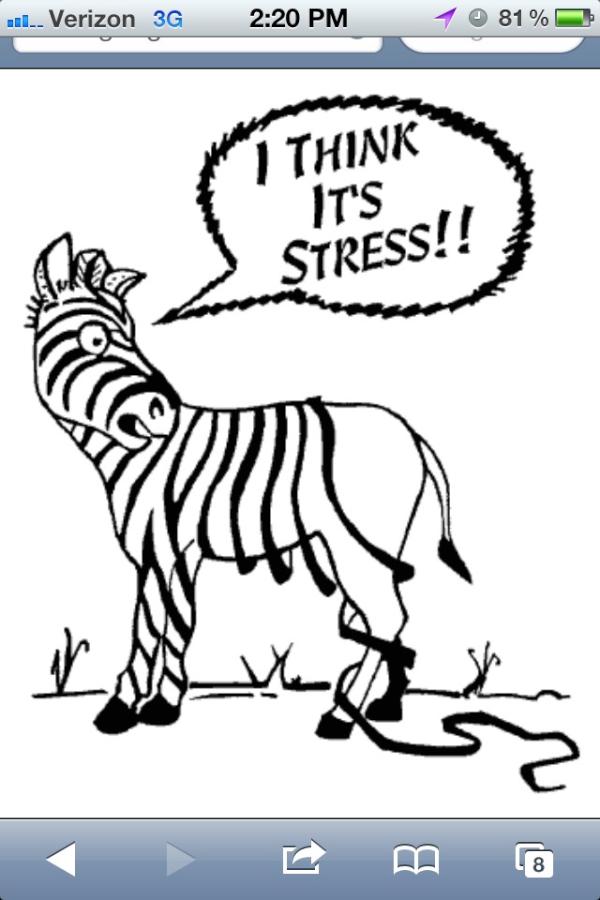 swagneshwar's tweet image. @renee_la13 #satproblems #dying