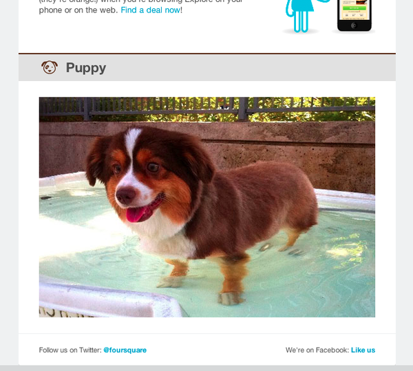 rileytheaussie's tweet photo. Thanks @foursquare for the newsletter love! http://t.co/RGzi36II