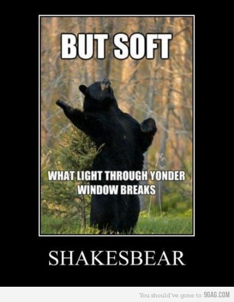 olgaalexx's tweet image. Lol #IBhumor