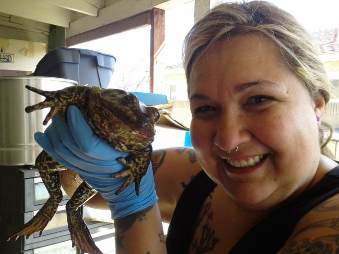 Cleaning my frogs cage !! http://t.co/7pabOFhH<a href="/tag/naturalbeauty"class="tags"><span>#naturalbeauty</span></a><a href="/tag/porn"class="tags"><span>#porn</span></a><a href="/tag/fetish"class="tags"><span>#fetish</span></a><a href="/tag/curvesfordays"class="tags"><span>#curvesfordays</span></a><a href="/tag/bbw"class="tags"><span>#bbw</span></a>