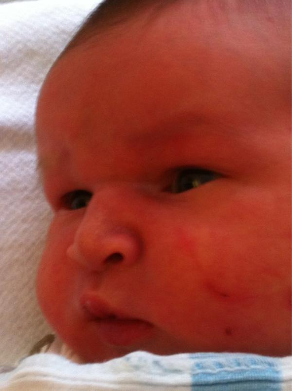 HumanAmerica's tweet image. He seems to insist on scratching his face. Awww our first disagreement. Dan 1 Donavan 0. #LifeIsNotACompetition