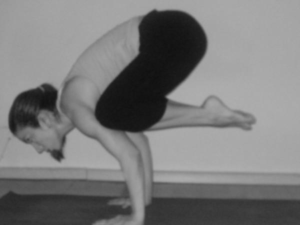 sthirayoga tweet media