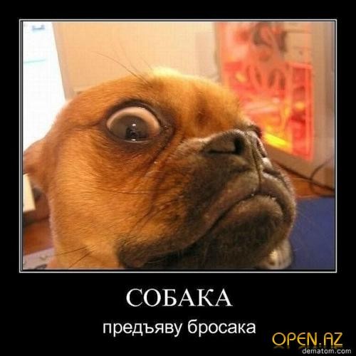 88Duke's tweet photo. @da_4to_da_ladno  слежу за тобой))) http://t.co/K0BirZzf