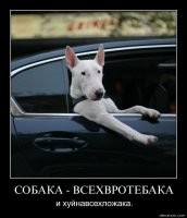 88Duke's tweet photo. http://t.co/pwQzIw3h