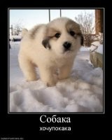 88Duke's tweet photo. http://t.co/B7nHLWhW