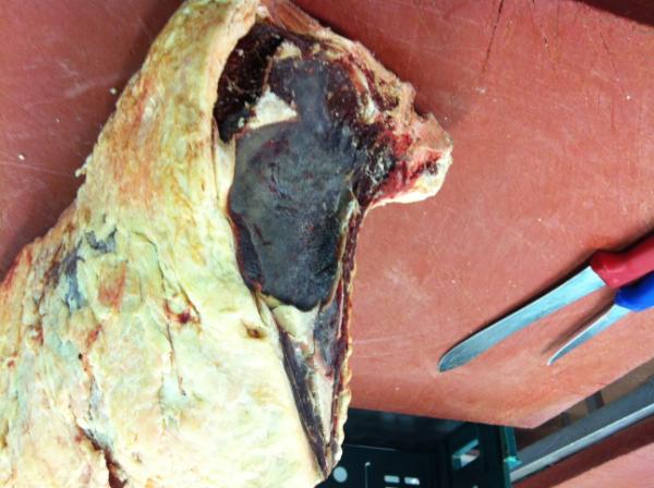 LeoRodley's tweet photo. 35 day hung beef loins from @CMBFoods this is going to be like melted butter!!! http://t.co/KS68Uafp