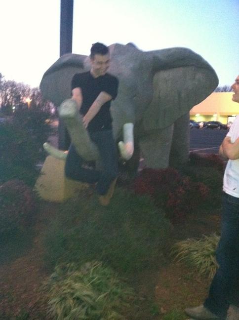 Riley_Malicious's tweet photo. Born to be wild http://t.co/hU42HY6W