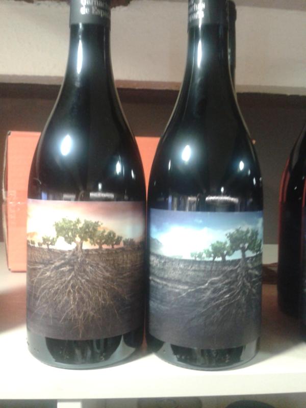 LaViblio's tweet photo. Conoces el proyecto "Garnachas de España" de @vintae ? Ven y prueba http://t.co/M9WE9x88