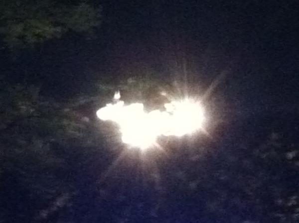 matt_toy's tweet image. The disco ball cow wants to #getsomeIaaS and really does #wishjoewashere.
