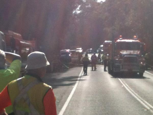 Tree down on princes highway Sth of barooma