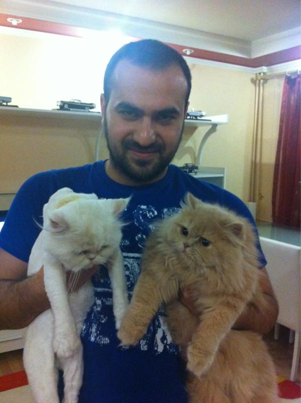 @Miraypasha Kediden bol ne var hangisini istiyon cnm sagdakinimi soldakinimi yoksa yavrularınımı