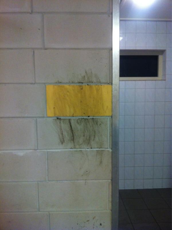 SC Elistha tweet media