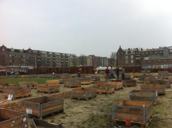 Dag 1 zit erop, morgen weer! #bergenwerkverzet #stadsboeren #bellamytuin