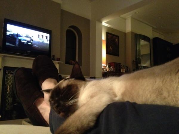 Fletchoi's tweet photo. RT @rickygervais: Saturday Night. Rock and Roll... http://t.co/MT1ylkgr