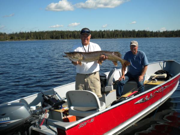 Another beautiful Northern Pike taken last fall at the Smoothrock Camp. #fishing #pike #canada