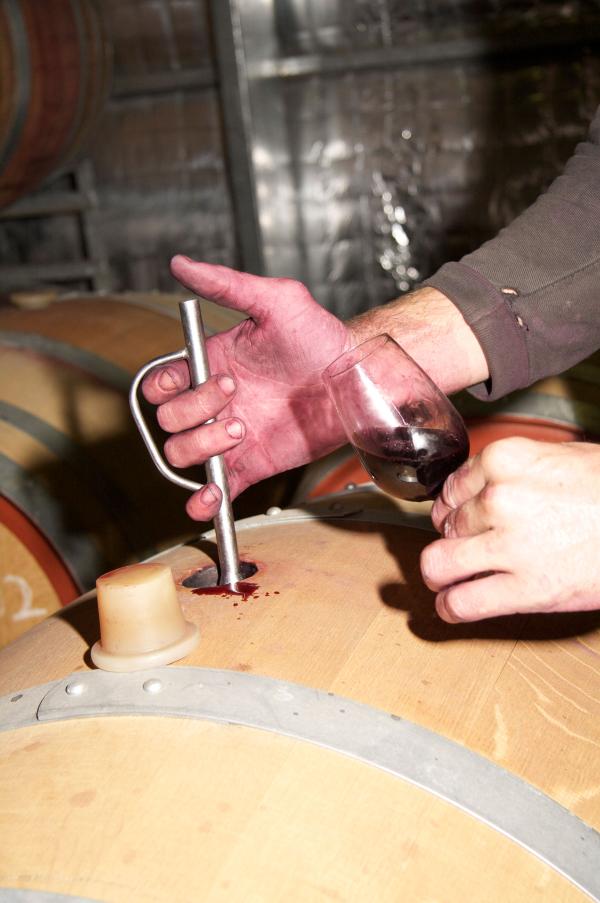 #B3 winery from #Australia - tasting moment directly from the #barrel for more info about B3: go goo.gl/YTR17