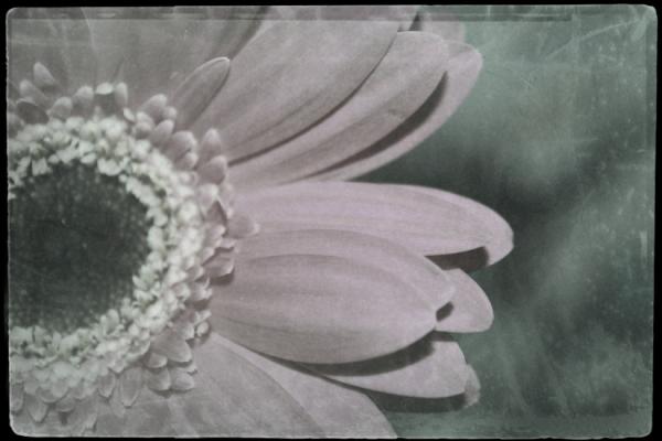 natfoth's tweet image. Created from Vintage Scene from Jixipix.com