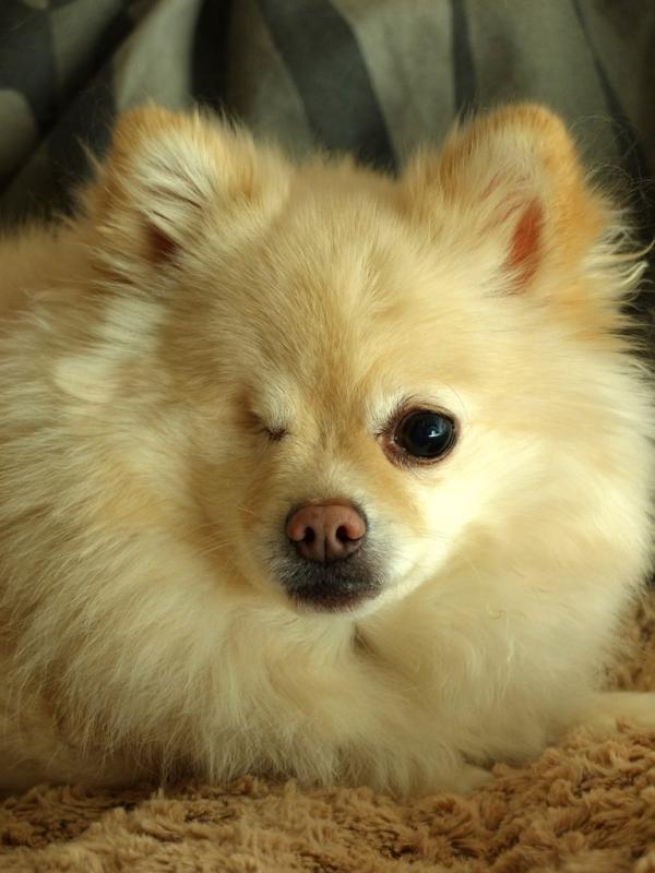 KailaJacques's tweet photo. Adorable? I think so http://t.co/UoJfgxPw