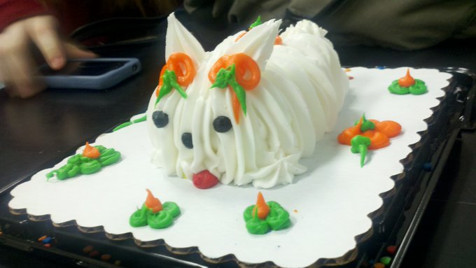 Watch kay 🐻 bear's leaked NSFW photo on TwXstars