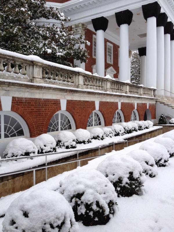 ericaspangler's tweet image. More snow