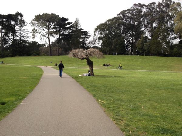 2bakedbabes's tweet photo. Hippie hill #sanfran http://t.co/0l9d2nmv