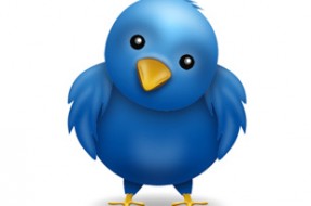 katgaete's tweet photo. The bird of Twitter has a name and is...Larry. http://t.co/M4GyrWdO