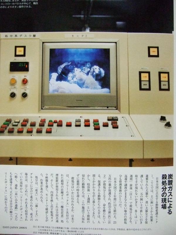 f_yuki's tweet photo. 殺処分機の中を映し出すモニター。二酸化炭素ガスが注入される時を待つしかない不安そうな犬たち。この後何分もかけてもがき苦しみ窒息死させられる。安楽死ではない。中には、死にきれず…そのまま焼却場へ。 https://t.co/UUh6SM18
