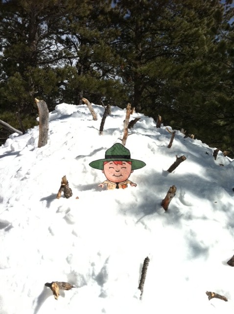 BocoRanger's tweet image. Ranger Stanley learned how to make a snow shelter.  You can too @ Jr Ranger Day Saturday!  sholton@bouldercounty.org