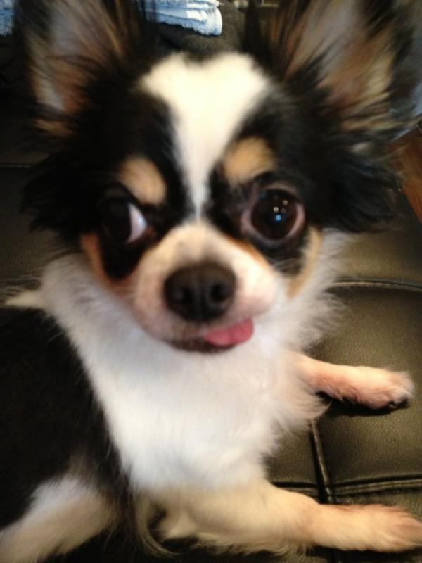 Rin609's tweet photo. ペコちゃん(^^) http://t.co/31Yfkcur