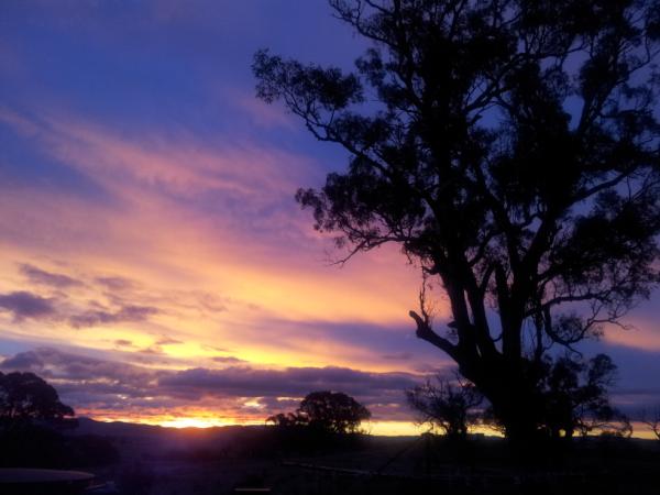 ...have just looked out the window and seen this glorious sunset....red sky at night vignerons delight??!
