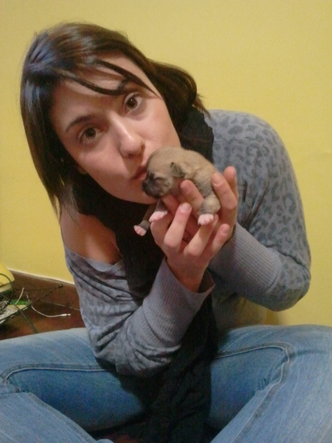 CoccoDesire's tweet photo. @Spizzicottina http://t.co/Ozfqj57l