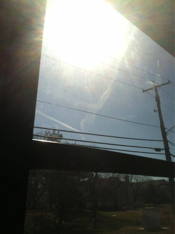SiegelsAbird's tweet image. Why do I have to go to work on such a nice day? #fuckpanera
