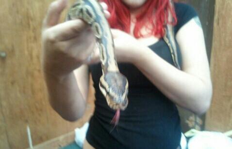 Embedded image permalink