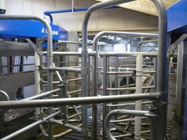 vanderzeeadvies's tweet image. Wij feliciteren dhr Veldman met het ingebruik nemen van 2 #DeLaval #melkrobots na een succesvolle verbouwing. Succes!