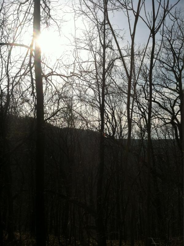MachineArms's tweet photo. Reach to the heavens like branches toward the sun, who will save you now? http://t.co/GLOlv7yZ