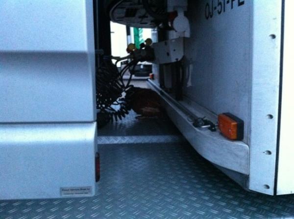 marctheyoung's tweet photo. Soms heb je een aparte bijrijder!!!#hellomrchicken! http://t.co/hGTqt5H0