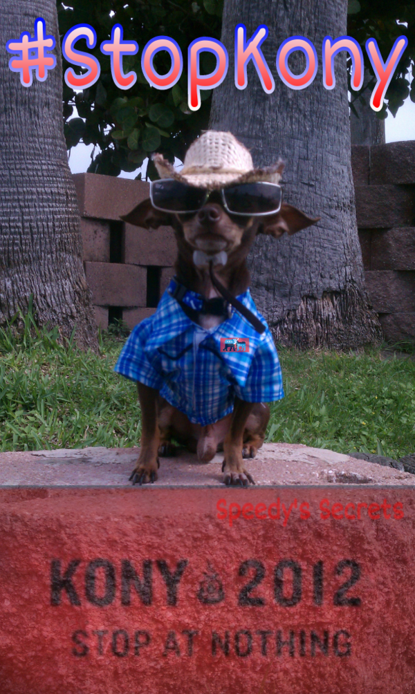 tilirin's tweet image. Sorry hvnt been on.. but I heard all bout KONY n we shud keep him trendin make him known #stopkony