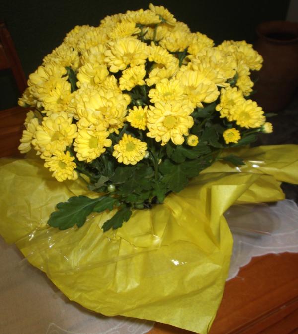 noallyalves's tweet photo. Ele sempre me surpreende
Te Am meu amor, amei as flores! http://t.co/LlCR8oAQ