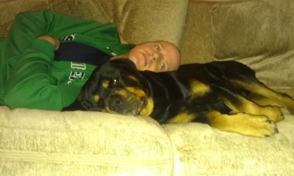 KarlyOCo's tweet photo. our big softie Oscar the #Rottie taking in a bit of #crufts #bestdogever http://t.co/iCIX9GAi