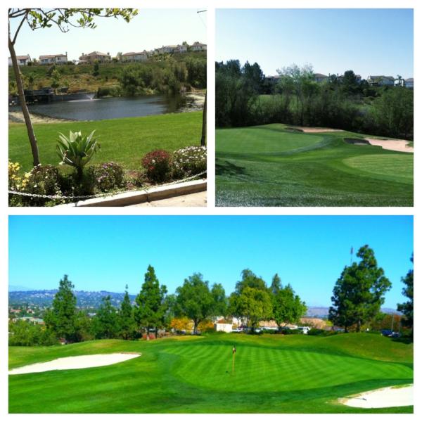 WestridgeGolf's tweet photo. Weather is warming up.. Perfect for a round of golf! Come spend the day in la habra. http://t.co/gIJSuHq0