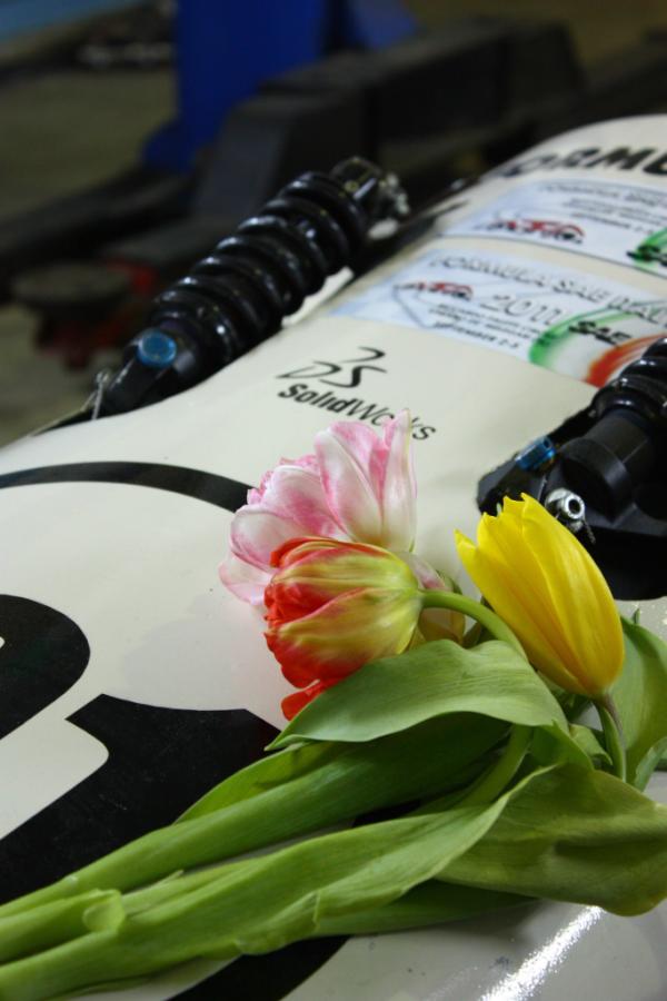 Команда МАДИ поздравляет всех девочек, девушек и женщин с замечательным праздником Весны!!