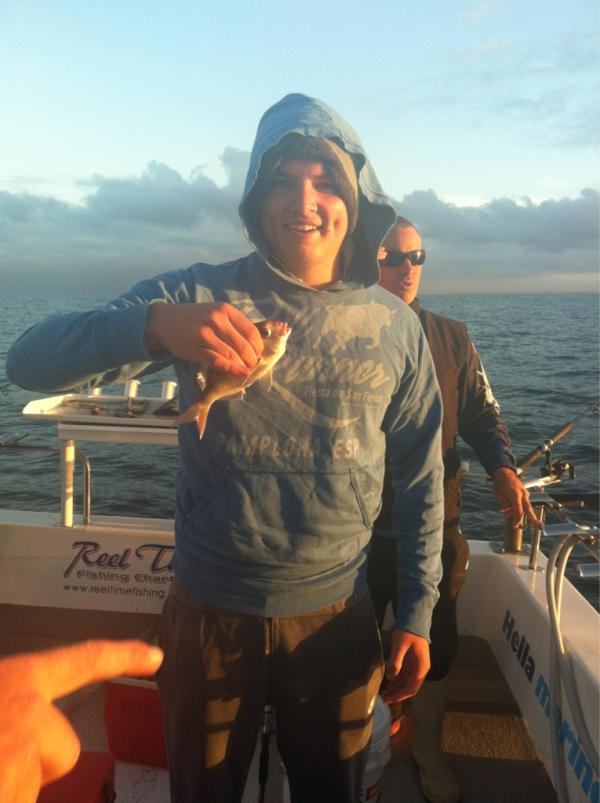 donkk85's tweet image. #undersize