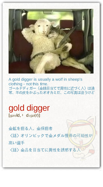 和田みつお Gold Diggerは 金目当ての女 という意味以外で使われてるのを見た事がない 日本で言う 玉の輿 だね 例 To Her Detractors What She S Been Is A Gold Digger Http T Co Oqmwpvlb Twitter