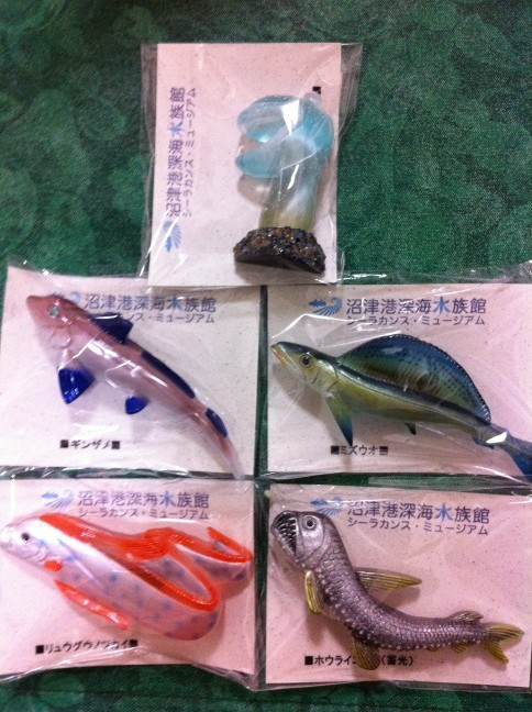 c くじら 深海魚マグネット 10種以上あって もうどうしてくれようかと 時計回りにオオグチボヤ ミズウオ ホウライエソ リュウグウノツカイ ギンザメ 品切れも沢山 スゲえ Http T Co Jfbz1mt6 Twitter c くじら 深海魚マグネット 10種以上あって もうどうしてくれようかと 時計回りにオオグチボヤ ミズウオ ホウライエソ リュウグウノツカイ ギンザメ 品切れも沢山 スゲえ Http T Co Jfbz1mt6 Twitter