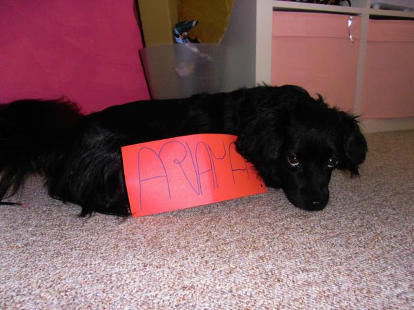 Ruby_Baby2's tweet image. @ArianaGrande this is for you