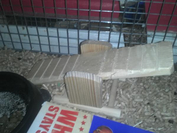 bevanthedegu tweet picture