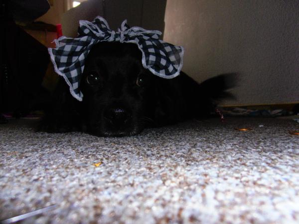 Ruby_Baby2's tweet image. @osnapitzdemmy